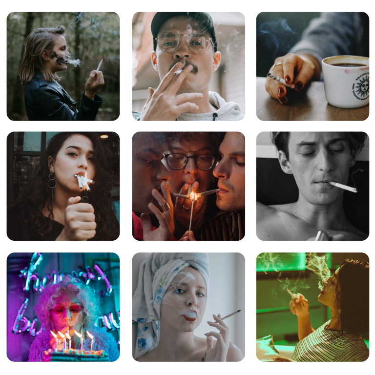 des profils de fumeurs différents.